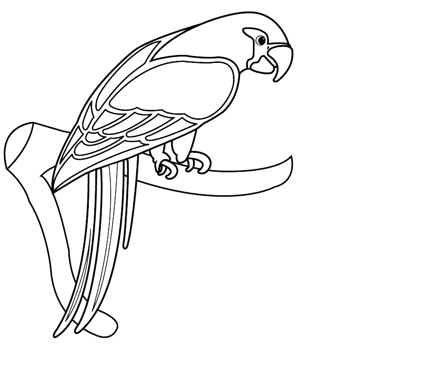 Free Printable Parrot Coloring Pages For Kids - Animal Place