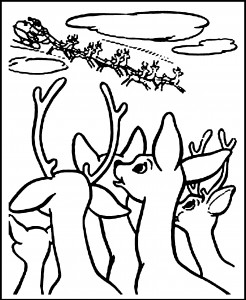 reindeer coloring page pictures  animal place