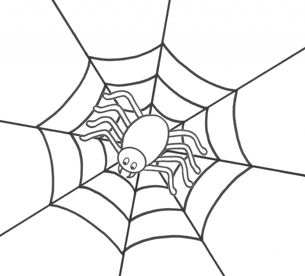 Spider Coloring Pages Image – Animal Place