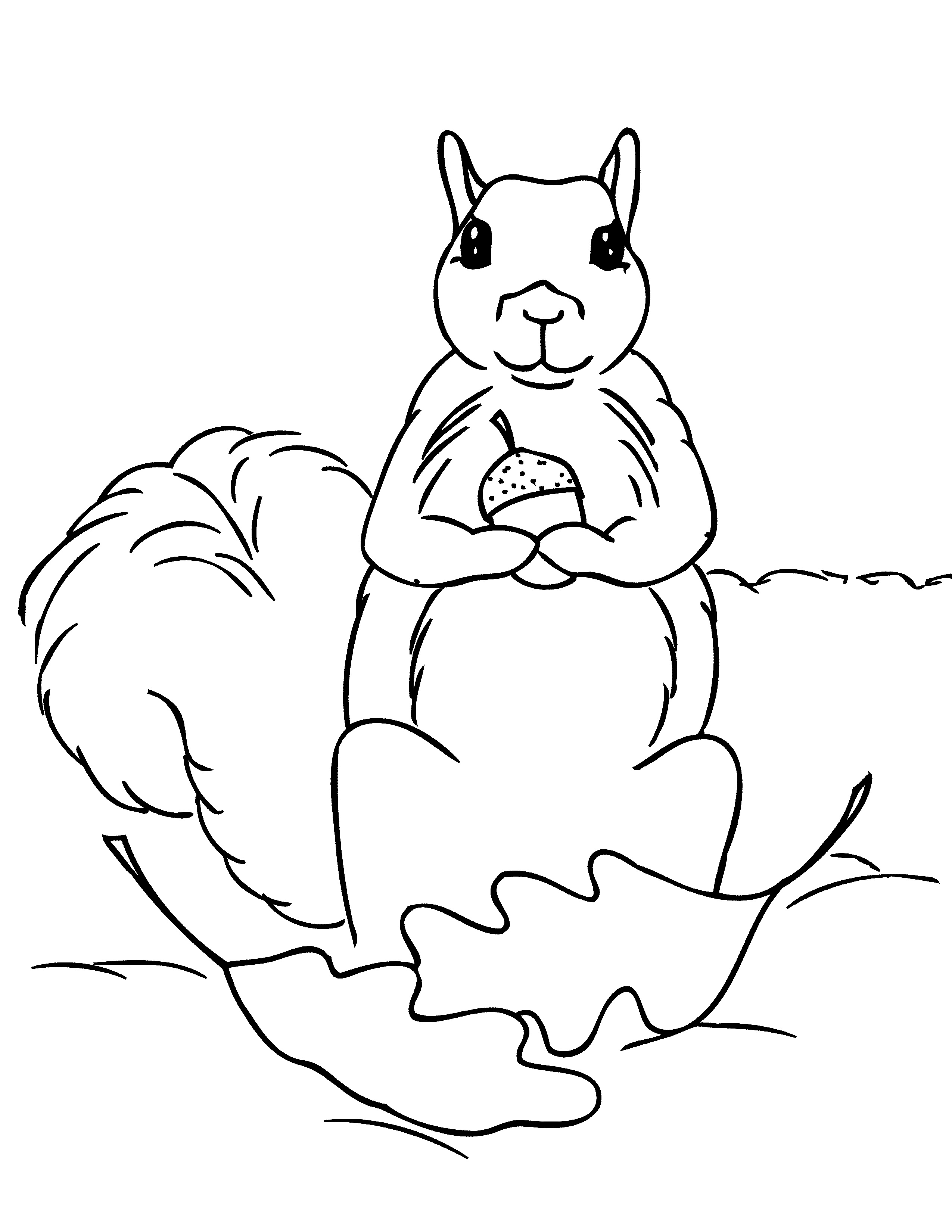 Squirrel Outline Coloring Page Coloring Pages