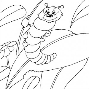 Free Printable Caterpillar Coloring Pages For Kids - Animal Place