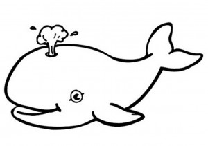 whale coloring page images  animal place