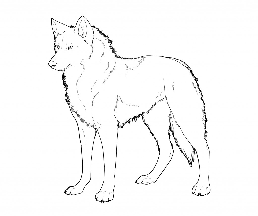 Wolf Coloring Page Photo - Animal Place