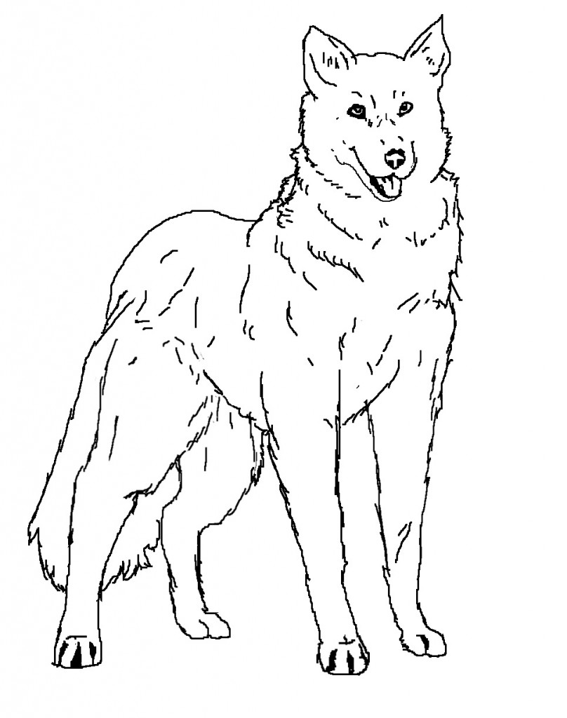 Wolf Coloring Page Photos – Animal Place