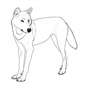 Wolf Coloring Pages for Kids Photos – Animal Place