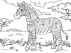 zebra coloring page image  animal place